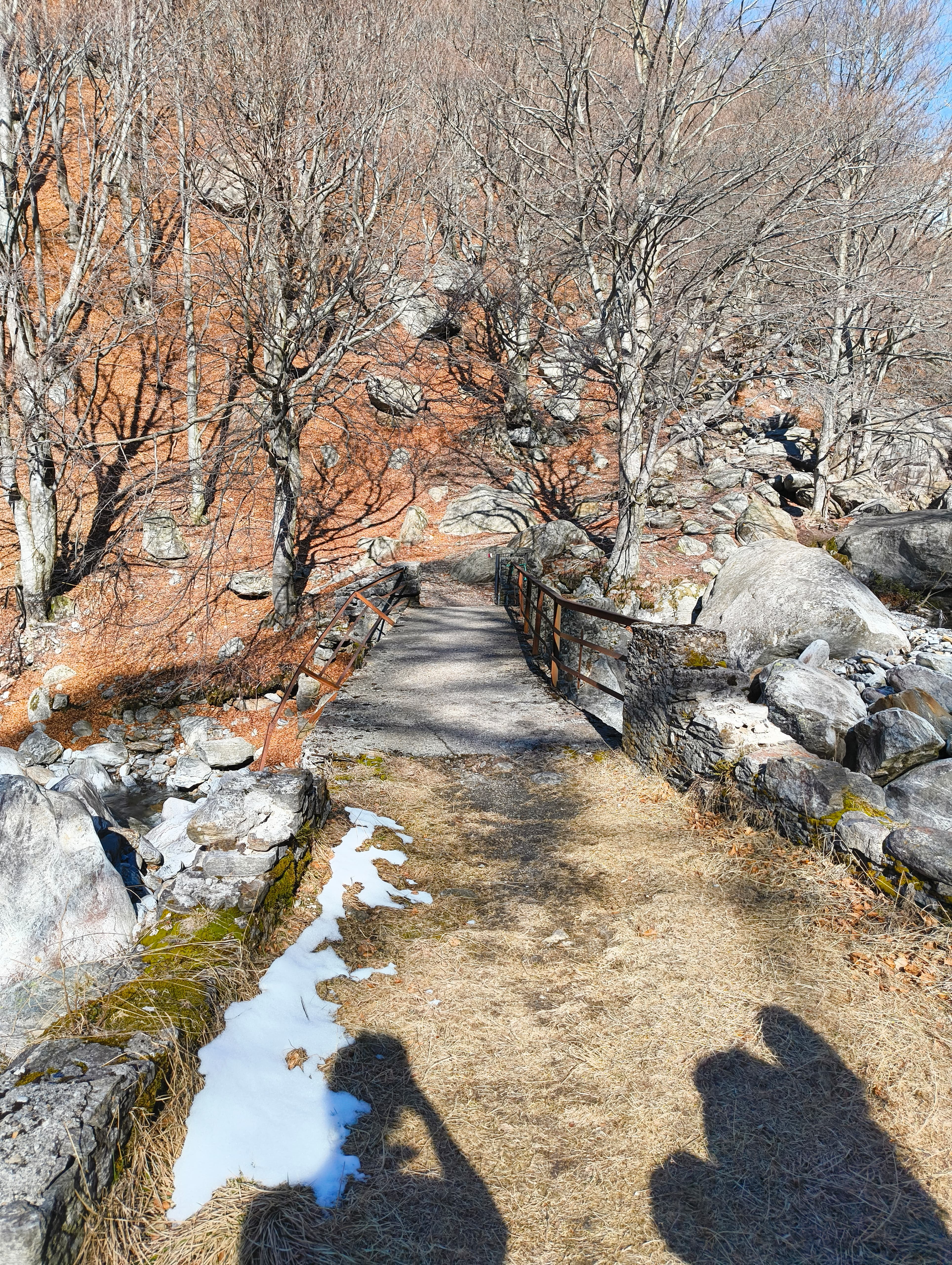 Foto n° 9 del trekking Bivacco Zeb